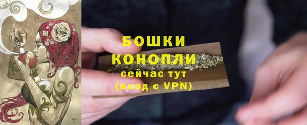 крисы Володарск