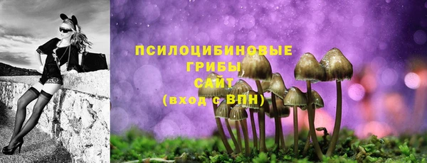 ГАЛЛЮЦИНОГЕННЫЕ ГРИБЫ Волосово