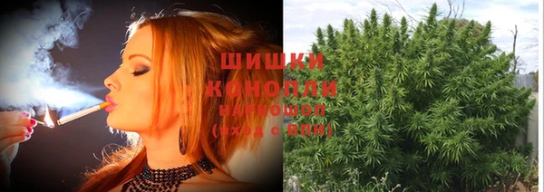 крисы Володарск